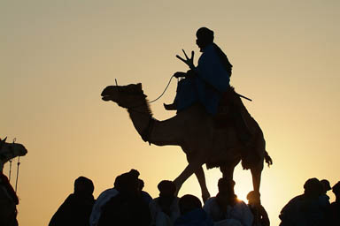 Tuareg Rider and folk against setting sun