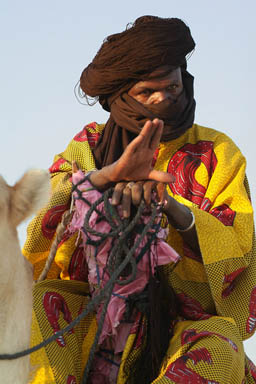 Impressive Dressage skills, Tuareg