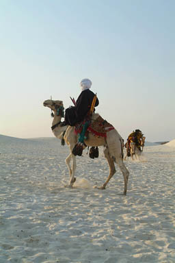 parading Tuaregs on their camels
