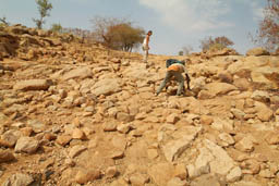 Road building in Dogon land.