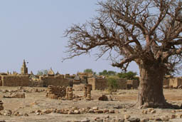 Dogon village.