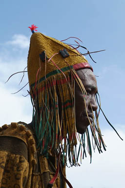 Head of a younger Donsow.