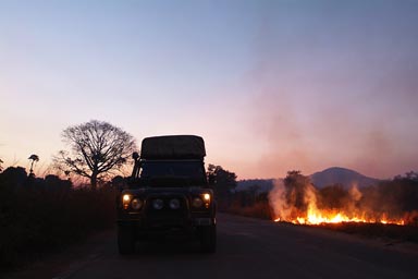 bushfire, Guinea.