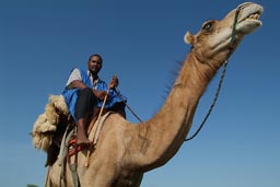 Mauritania desert, friendly Camel Rider, Mohammed Ghalid