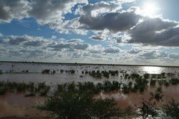 Mauritania desert flat plain under water, Flooded plain, Sahel rainy season