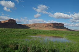 Mauritania desert mountain range, Green grass, Sahel rainy season