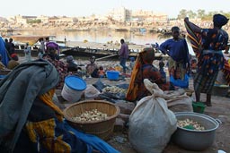 Market women Mopti, canal and Pirogues, port, Mali.
