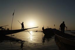 Mopti, Men steering pirogues, on Niger River, Evening, sunset, Mali.