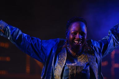Naini Diabate on the Festival sur le Niger.