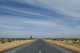 North Mali, road, baobab.