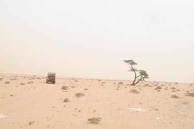 Desert and rain