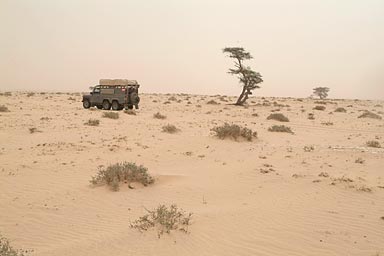 Banc d'Arguine, desert and rain