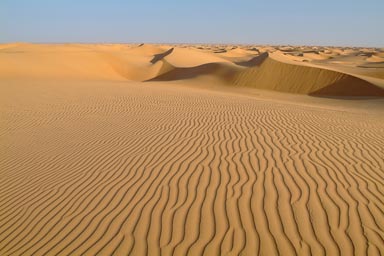 Sahara untouched.