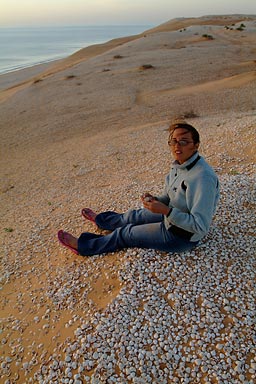 A dune full of shells