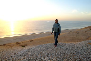 A dune full of shells