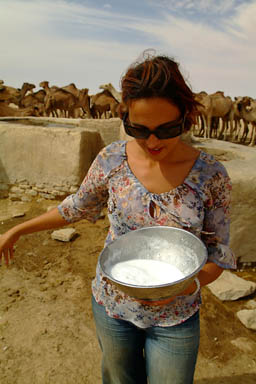 Camel's milk 