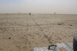 Tacks in the Sand, Sahel, Harmattan, Mauritania, following a Land Cruiser