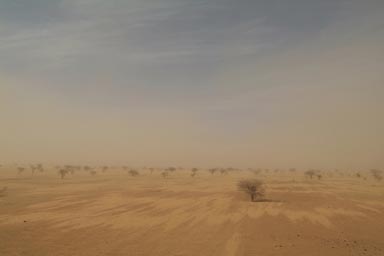 Sahel pur, a dust storm, Harmattan, Mauritania