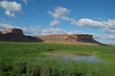 Green desert mountains, flooded desert.