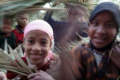 Girls with henna tatooed hands carrying palm leafs