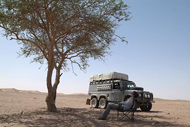 A tree in the desert