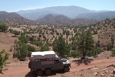 Land Rover and the Argane trees