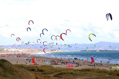 Kites in Tarifa