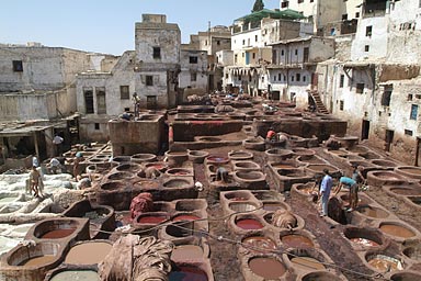 The tannery