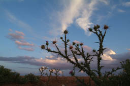 Thistle road to Fuiguig