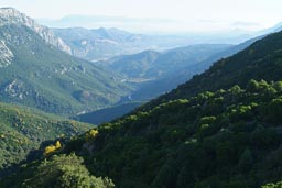 Sardinia/Sardegna, Mountains/Valleys in the East, morning.