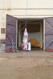 Checking on the meat, Daniel inspecting cow carcasse. Eid Al Khebir.