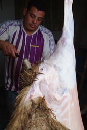 Skinning a mutton Eid El Adha.