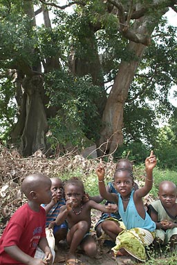 big tree and children