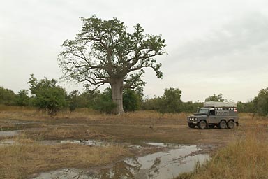 Baobab, and Land Rover.