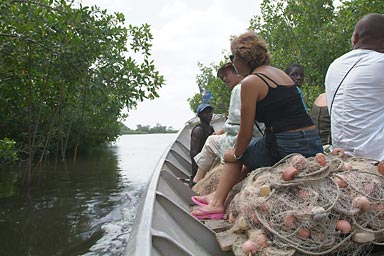 With the pirogue through the mangroves