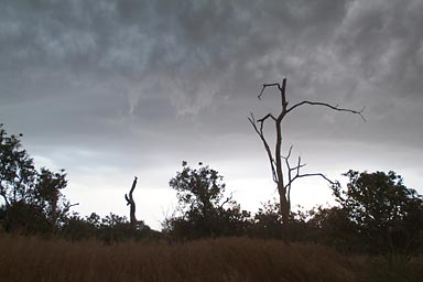 Thunder, a big storm breaks loose