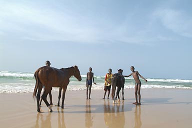 Boys and their horses on the beach 