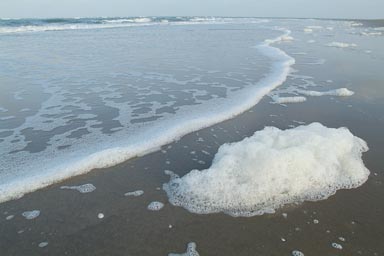Foam on the sand beach, waves, Atlantic ocean, rising tide, morning Djembering, southern Senegal, Casamance.