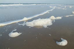 Salty water bubbles on beach.