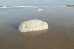 Samll waves, Atlantic Senegal.