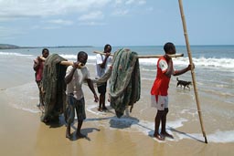 Fishermen carrying their net up on Lumley beach, Aberdeen, Freetown, Sierra Leone.
