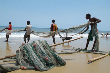 Fishermen howl their nets in on Lumley beach.