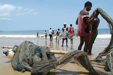 group of 9 African Fishermen pull their net in on Lumley beach.