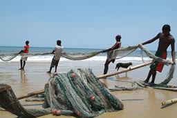 Fishermen pull their net in on Lumley beach.
