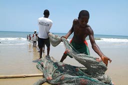 Fishermen pull their net in on Lumley beach.