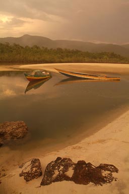 Lagoon behind, twilight, No2 river beach mangroves, Freetown peninsula.