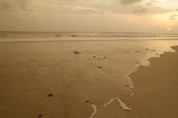 Tide comming back in, white sandy beach, sunset, Freetown peninsula, Sierra Leone.