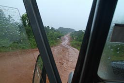 Rainy season, winding road, green Liberian jungle.