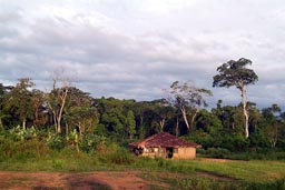 Fantastic morning, clouds sun lit, African village, mud hut, straw roofed.