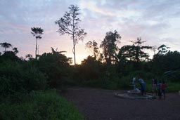 Morning light, tropical jungle, African children fetch water from well, village of ITI, Liberia.